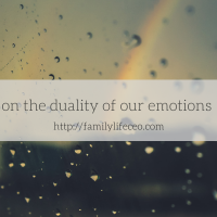 On the duality of our emotions